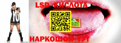 эйфоретик Бузулук