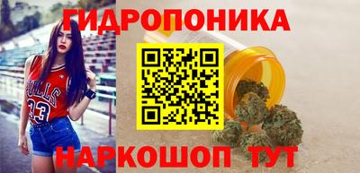 прущие крисы Будённовск