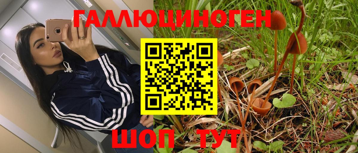Псилоцибиновые грибы прущие грибы  Вход с VPN  Новоуральск 