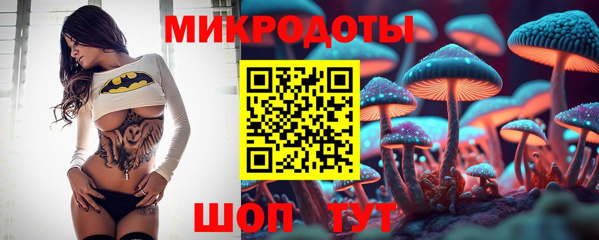 Псилоцибиновые грибы Psilocybe Новоуральск